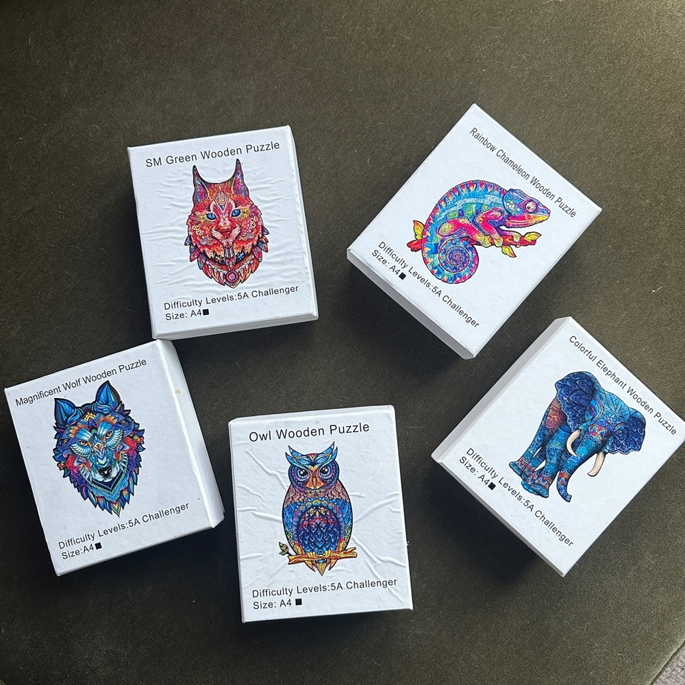 5 wooden puzzles